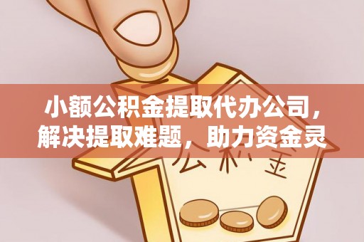 北部新区小额公积金提取代办公司，解决提取难题，助力资金灵活使用