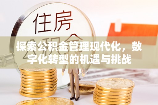 北部新区探索公积金管理现代化，数字化转型的机遇与挑战