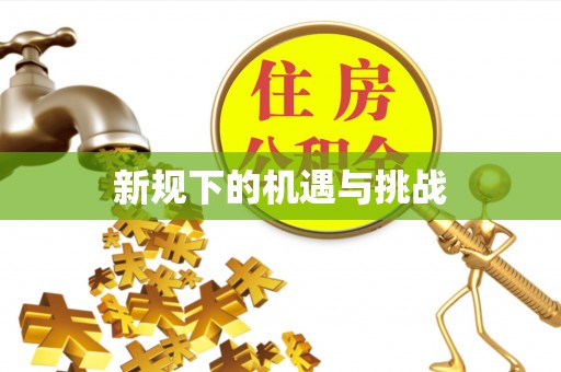 北部新区新规下的机遇与挑战