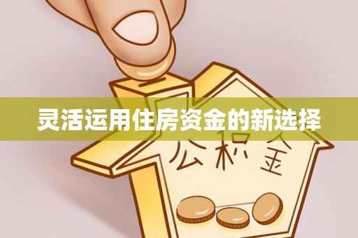 北部新区灵活运用住房资金的新选择