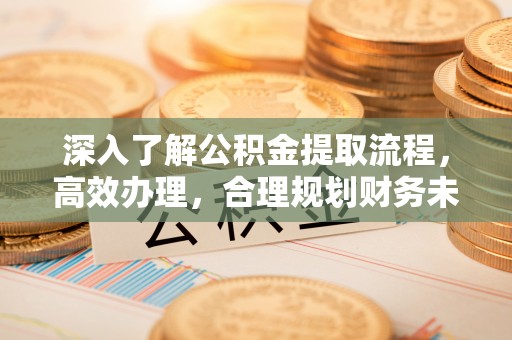 北部新区深入了解公积金提取流程，高效办理，合理规划财务未来