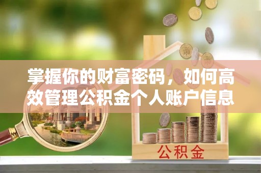 北部新区掌握你的财富密码，如何高效管理公积金个人账户信息