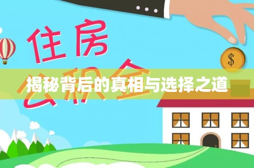 北部新区揭秘背后的真相与选择之道