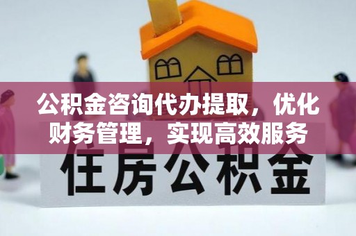 北部新区公积金咨询代办提取，优化财务管理，实现高效服务