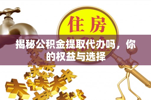 北部新区揭秘公积金提取代办吗，你的权益与选择