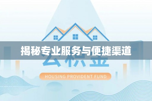北部新区揭秘专业服务与便捷渠道