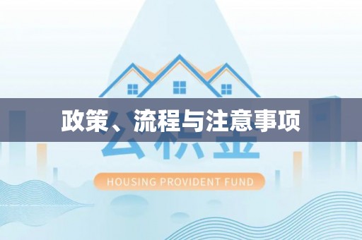 北部新区政策、流程与注意事项