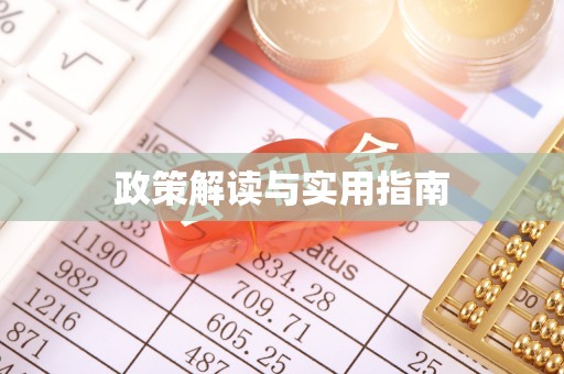 北部新区政策解读与实用指南