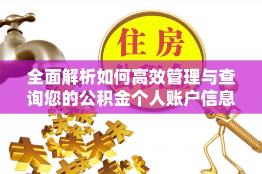 北部新区全面解析如何高效管理与查询您的公积金个人账户信息