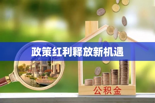 北部新区政策红利释放新机遇