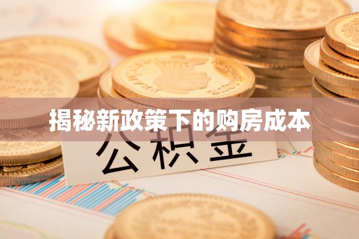 北部新区揭秘新政策下的购房成本