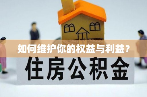 北部新区如何维护你的权益与利益？