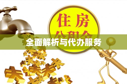 北部新区全面解析与代办服务