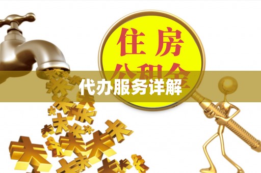 北部新区代办服务详解