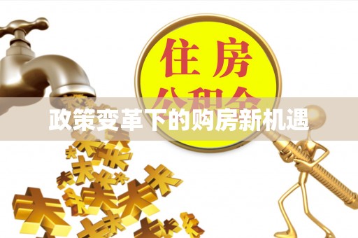 北部新区政策变革下的购房新机遇