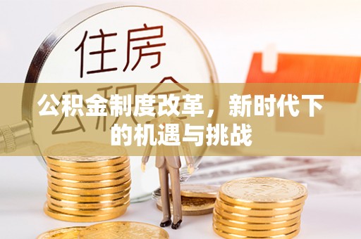 北部新区公积金制度改革，新时代下的机遇与挑战