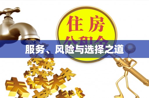 北部新区服务、风险与选择之道