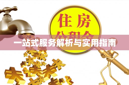 北部新区一站式服务解析与实用指南