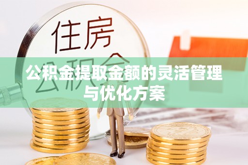 北部新区公积金提取金额的灵活管理与优化方案