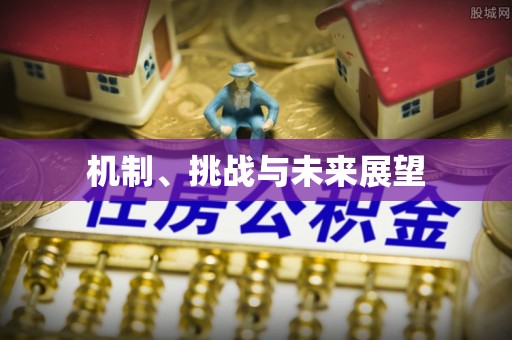 北部新区机制、挑战与未来展望